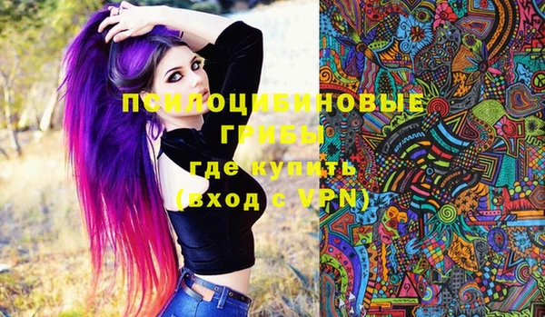 ешки Алексин