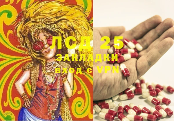 ешки Алексин
