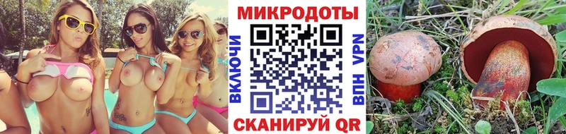 Псилоцибиновые грибы мухоморы  купить закладку  Дивногорск 